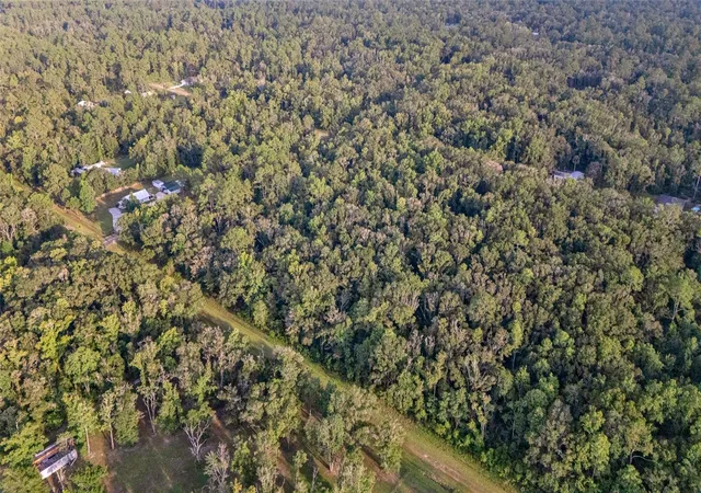 Photo 3 of Land for sale at 4715 Alvin St, Hastings, FL 32145 | MLS# FC320842 | Listing updated on 2026-08-22