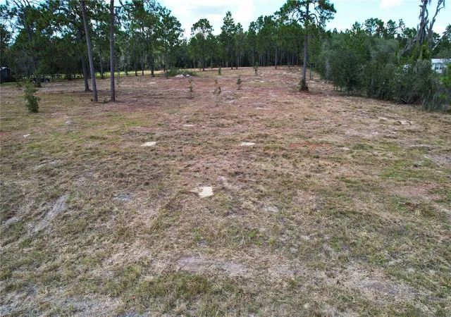 Photo 2 of Land for sale at 53rd Lane, Morriston, FL 32668 | MLS# O6435317 | Listing updated on 2026-10-07