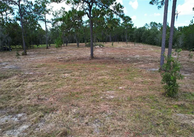 Photo 3 of Land for sale at 53rd Lane, Morriston, FL 32668 | MLS# O6435317 | Listing updated on 2026-10-07