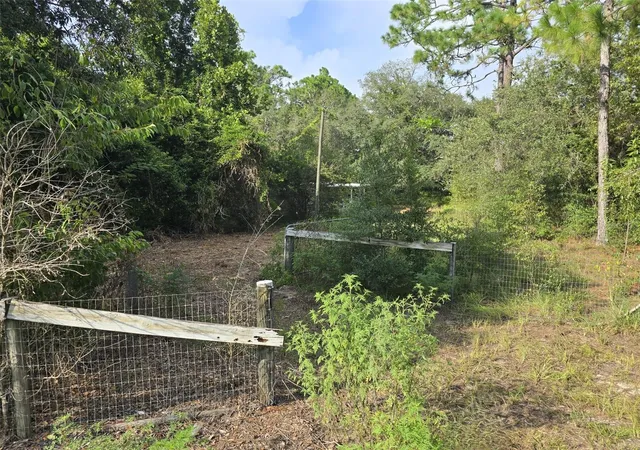 14th image of 650 Ne 138 Ave, Williston, FL 32696 | MLS# W7888778
