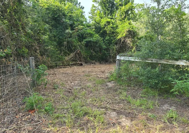 2nd image of 650 Ne 138 Ave, Williston, FL 32696 | MLS# W7888778