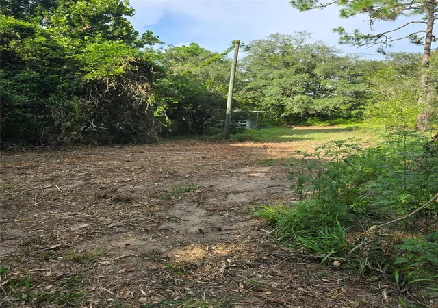 3rd image of 650 Ne 138 Ave, Williston, FL 32696 | MLS# W7888778