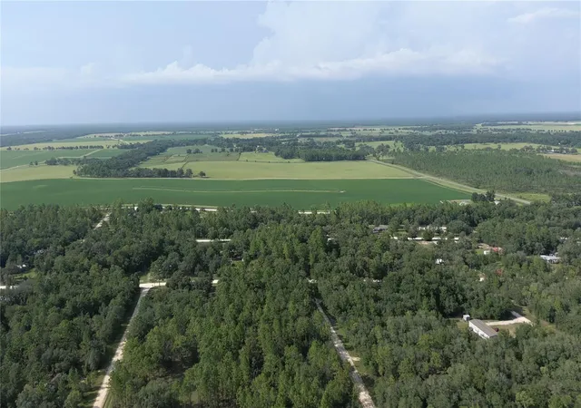 5th image of 650 Ne 138 Ave, Williston, FL 32696 | MLS# W7888778
