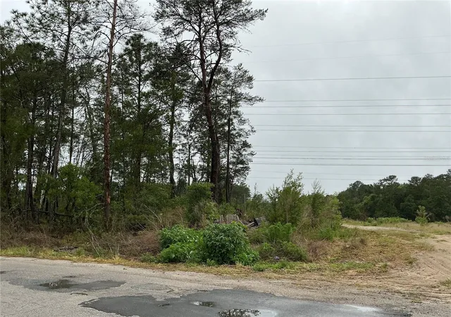3rd image of 16914 Sw 44Th Cir, Ocala, FL 34473 | MLS# OM730793