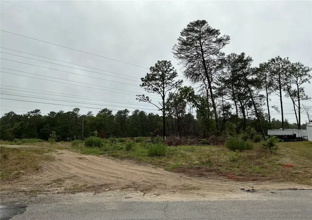 4th image of 16914 Sw 44Th Cir, Ocala, FL 34473 | MLS# OM730793