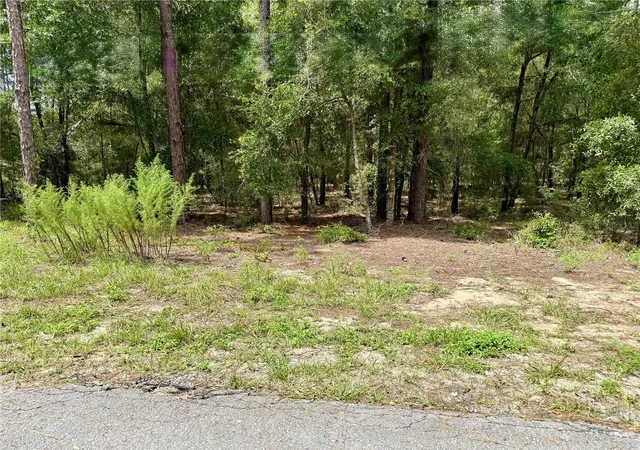 Photo 1 of Land for sale at Southwest 205th Cir, Dunnellon, FL 34431 | MLS# O6435372 | Listing updated on 2026-09-25