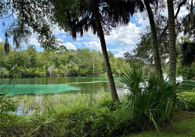 Photo 3 of Land for sale at Southwest 205th Cir, Dunnellon, FL 34431 | MLS# O6435372 | Listing updated on 2026-09-25