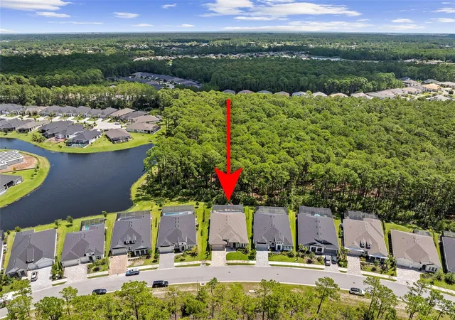 81st image of 463 Stirling Bridge Dr, Ormond Beach, FL 32174 | MLS# FC320851