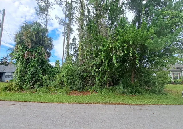 1st image of 24 Ramrock Ln, Palm Coast, FL 32164 | MLS# FC320852