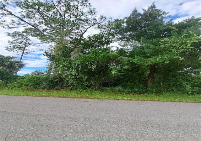 4th image of 24 Ramrock Ln, Palm Coast, FL 32164 | MLS# FC320852