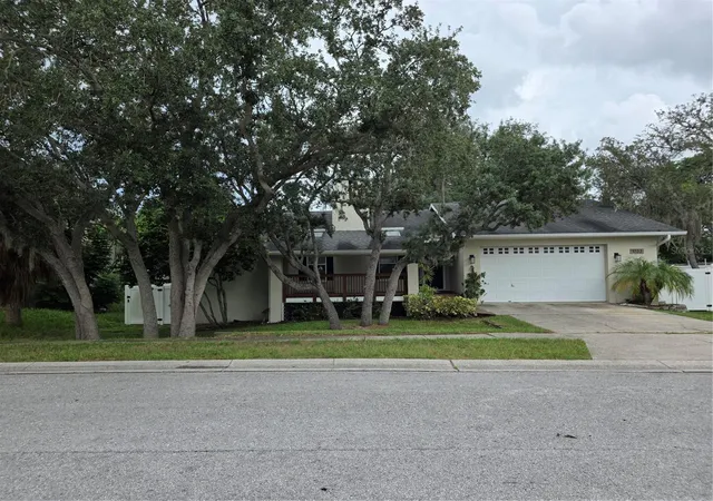 48th image of 1033 Rosetree Ln, Tarpon Springs, FL 34689 | MLS# W7888784