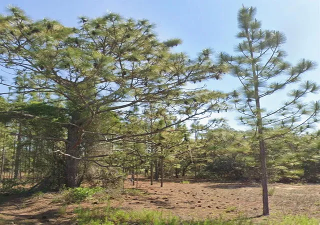 1st image of Tbd Sw Floral Ct, Dunnellon, FL 34431 | MLS# TB8541002
