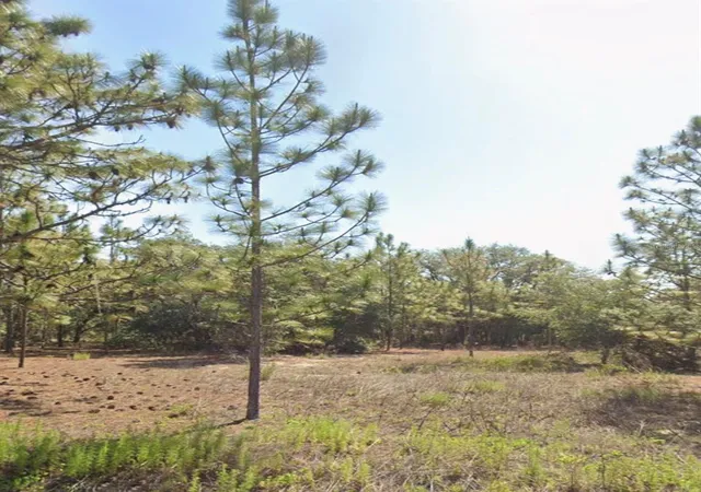 2nd image of Tbd Sw Floral Ct, Dunnellon, FL 34431 | MLS# TB8541002