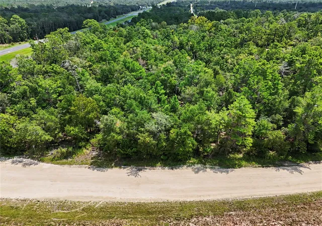 Photo 5 of Land for sale at Tbd Ne Hwy 27 Alt, Bronson, FL 32621 | MLS# GC542903 | Listing updated on 2026-09-01