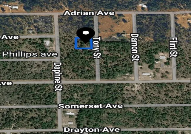 Photo 2 of Land for sale at Toby St, Interlachen, FL 32148 | MLS# TB8541072 | Listing updated on 2026-08-21