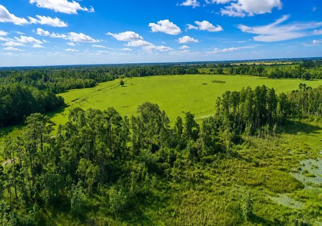 Photo 1 of Land for sale at Old Polk City Rd, Polk City, FL 33868 | MLS# P4939661 | Listing updated on 2026-08-26