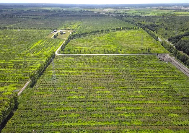 3rd image of 731 S Warfield Rd, Avon Park, FL 33825 | MLS# O6435505