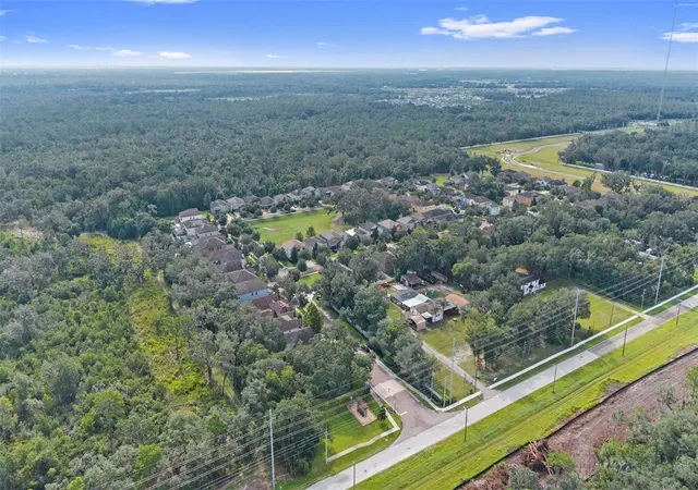 54th image of 14242 Blue Dasher Dr, Riverview, FL 33569 | MLS# TB8541129