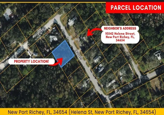 17th image of Helena St, New Port Richey, FL 34654 | MLS# TB8541155