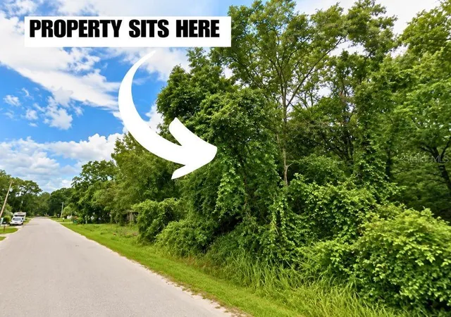 3rd image of Helena St, New Port Richey, FL 34654 | MLS# TB8541155