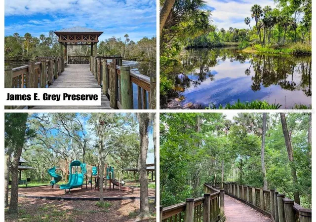 4th image of Helena St, New Port Richey, FL 34654 | MLS# TB8541155