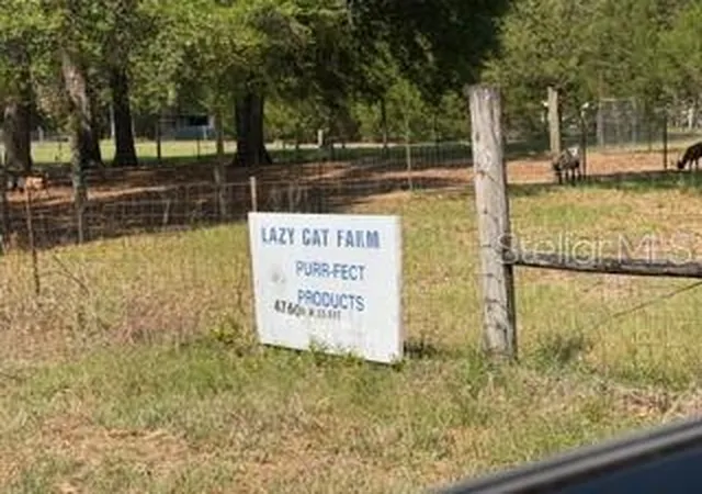 Photo 4 of Land for sale at 4760-A Nw 55Th Ave, Bell, FL 32619 | MLS# GC542918 | Listing updated on 2026-10-05