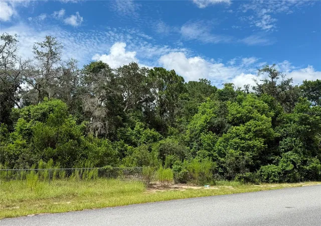 3rd image of 12365 Barrow St, Spring Hill, FL 34609 | MLS# W7888806