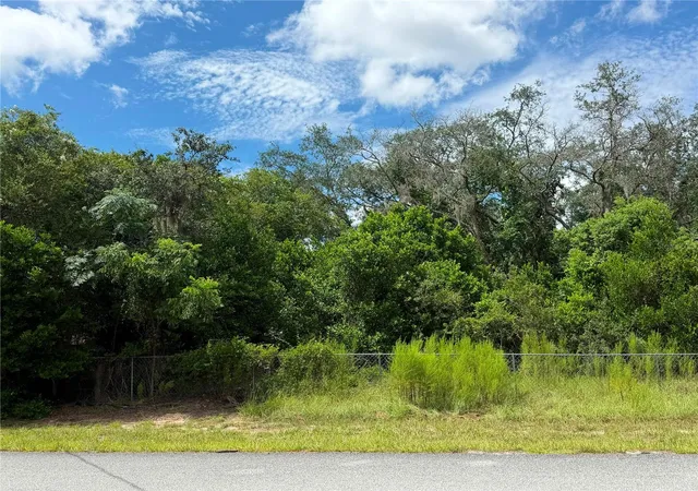 4th image of 12365 Barrow St, Spring Hill, FL 34609 | MLS# W7888806