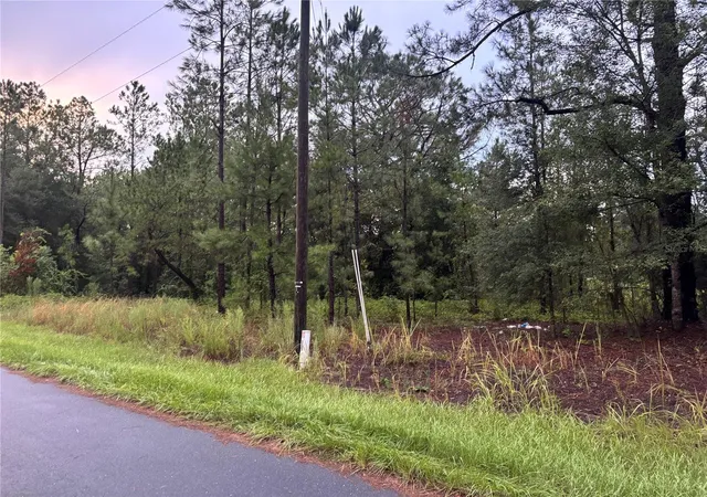 1st image of Blk 1122 Lot 13, Ocala, FL 34472 | MLS# TB8541227