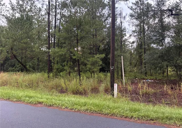 3rd image of Blk 1122 Lot 13, Ocala, FL 34472 | MLS# TB8541227