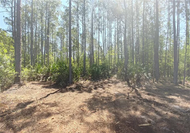 18th image of 1001 Omega Ranch Rd #16, New Smyrna Beach, FL 32168 | MLS# O6435607
