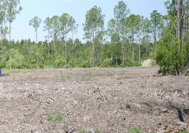2nd image of 1001 Omega Ranch Rd #16, New Smyrna Beach, FL 32168 | MLS# O6435607