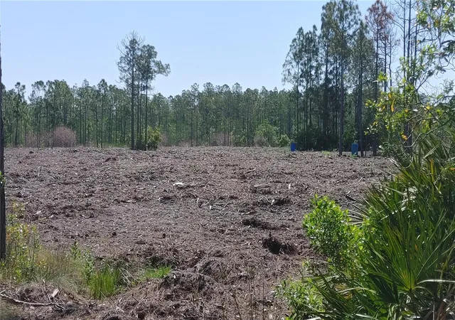Photo 3 of Land for sale at 1001 Omega Ranch Rd #16, New Smyrna Beach, FL 32168 | MLS# O6435607 | Listing updated on 2026-08-24