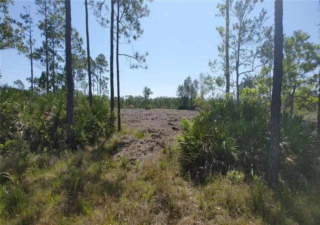 Photo 3 of Land for sale at 1001 Omega Ranch Rd #16, New Smyrna Beach, FL 32168 | MLS# O6435607 | Listing updated on 2026-08-24