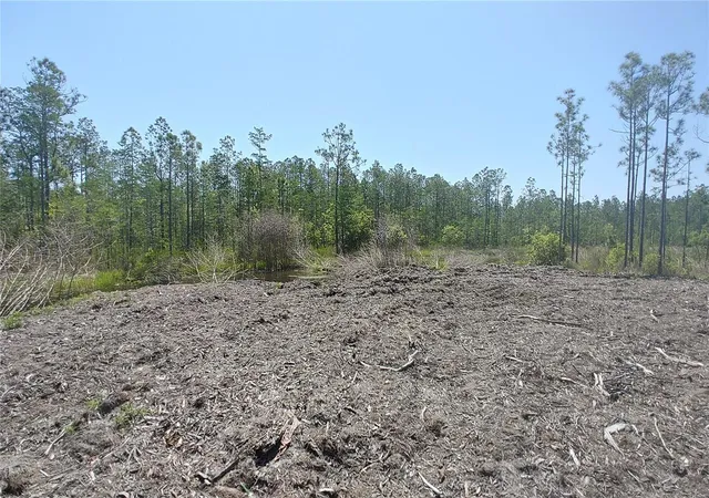 Photo 4 of Land for sale at 1001 Omega Ranch Rd #16, New Smyrna Beach, FL 32168 | MLS# O6435607 | Listing updated on 2026-08-24