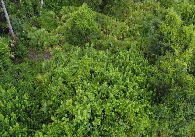 4th image of Argonne Ct, North Port, FL 34288 | MLS# TB8541251