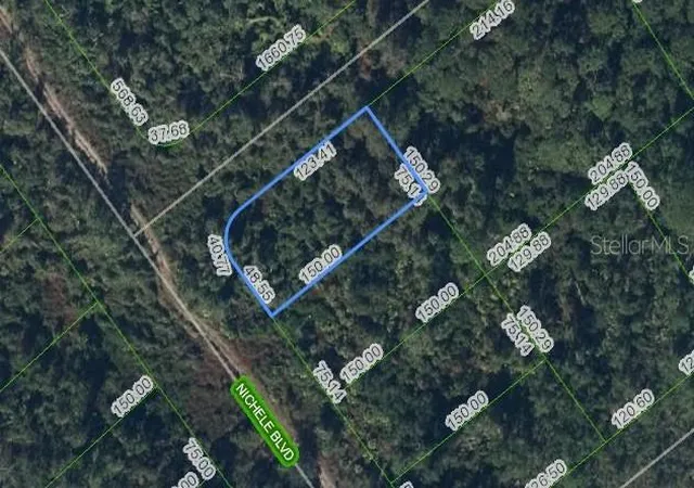 1st image of 457 Nichele Blvd, Lake Placid, FL 33852 | MLS# P4939675