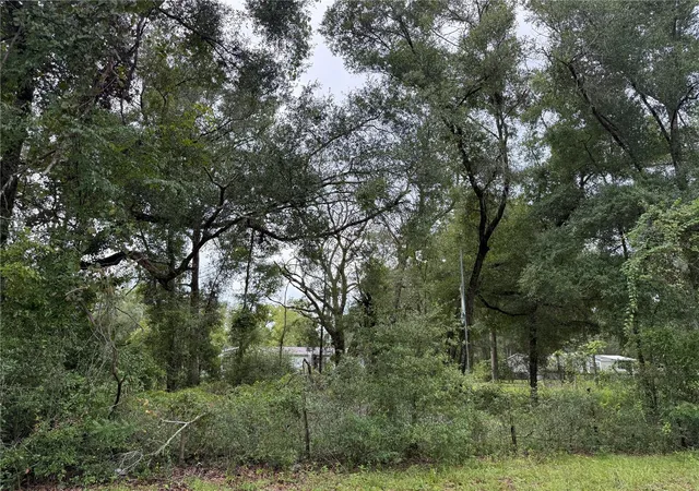 20th image of 11360 Ne State Road 24, Archer, FL 32618 | MLS# GC542927