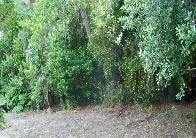 7th image of 3620 N 56th St, Tampa, FL 33619 | MLS# TB8541396