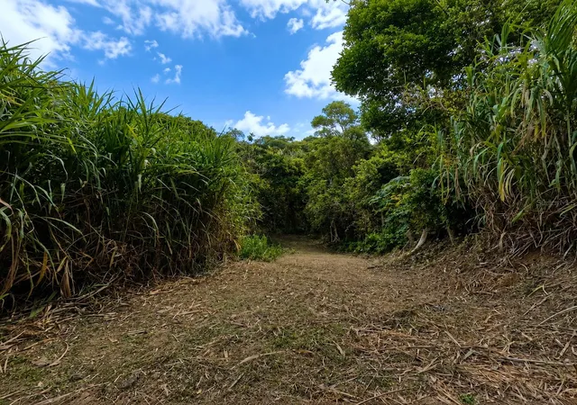 Photo 1 of Land for sale at Pr 982 Km 23, Fajardo, PR 00738 | MLS# PR9123613 | Listing updated on 2026-08-28