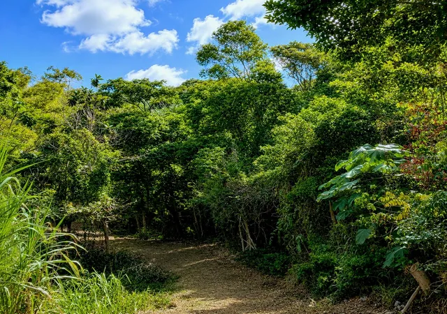 Photo 2 of Land for sale at Pr 982 Km 23, Fajardo, PR 00738 | MLS# PR9123613 | Listing updated on 2026-08-28