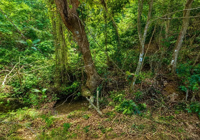 Photo 3 of Land for sale at Pr-982 Km 23, Fajardo, PR 00738 | MLS# PR9123613 | Listing updated on 2026-08-28