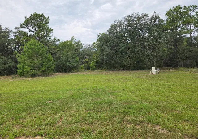 14th image of 353 Fisher Wy, Ocklawaha, FL 32179 | MLS# TB8541423