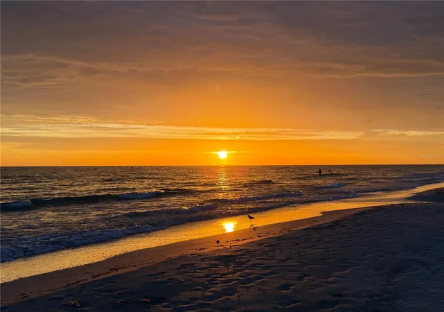 image of 1238 S Missouri Ave, CLEARWATER, FL 33756