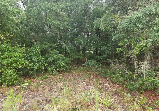 4th image of Lot 16 Sw Marine Blvd, Dunnellon, FL 34431 | MLS# OM730896