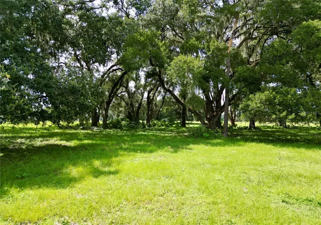 22nd image of 0 C 478 W, Webster, FL 33597 | MLS# G5116817
