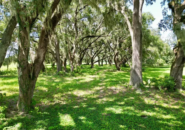 4th image of 0 C-478 W, Webster, FL 33597 | MLS# G5116817