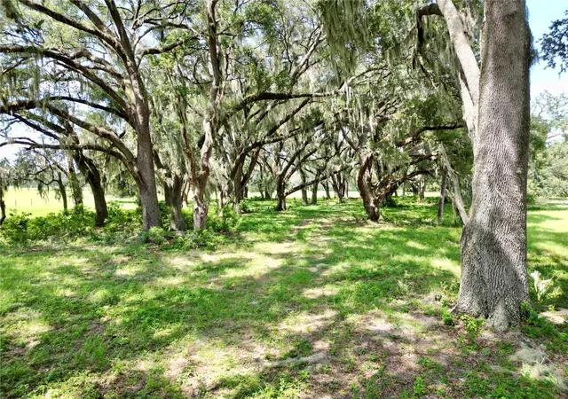 5th image of 0 C-478 W, Webster, FL 33597 | MLS# G5116817