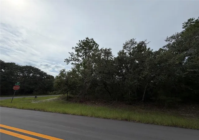 Photo 2 of Land for sale at 0 Sw 144th Pl, Ocala, FL 34480 | MLS# OM730904 | Listing updated on 2026-09-06