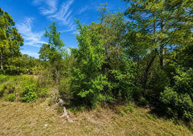 1st image of 104 Tobler Ter Nw, Lake Placid, FL 33852 | MLS# S5156124